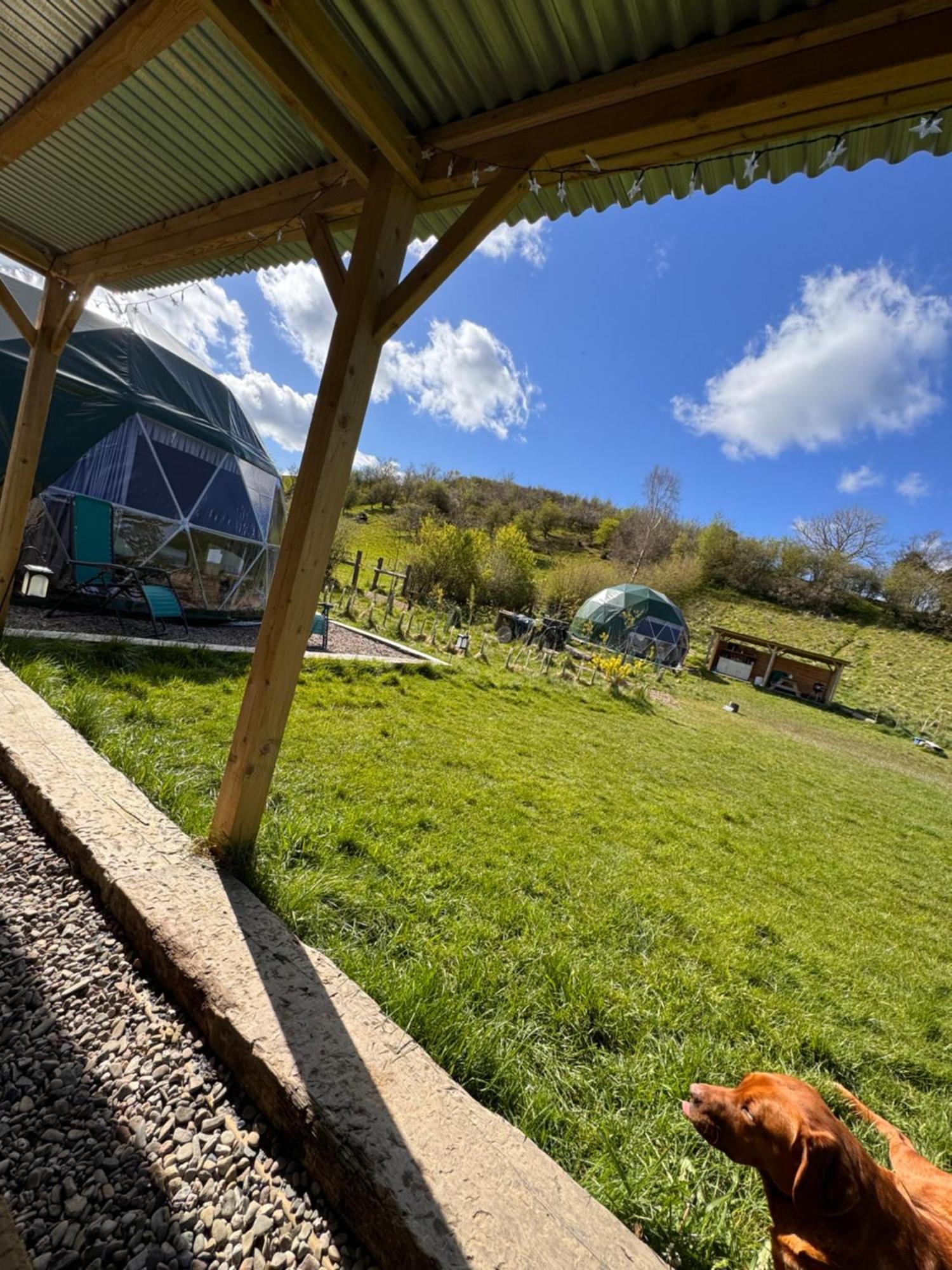 Готель Geodesic Dome Glamping Лянідлойс Екстер'єр фото